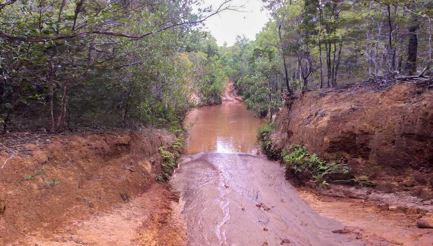 Scrubby Creek