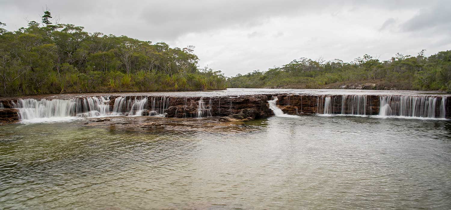 Fruit Bat Falls