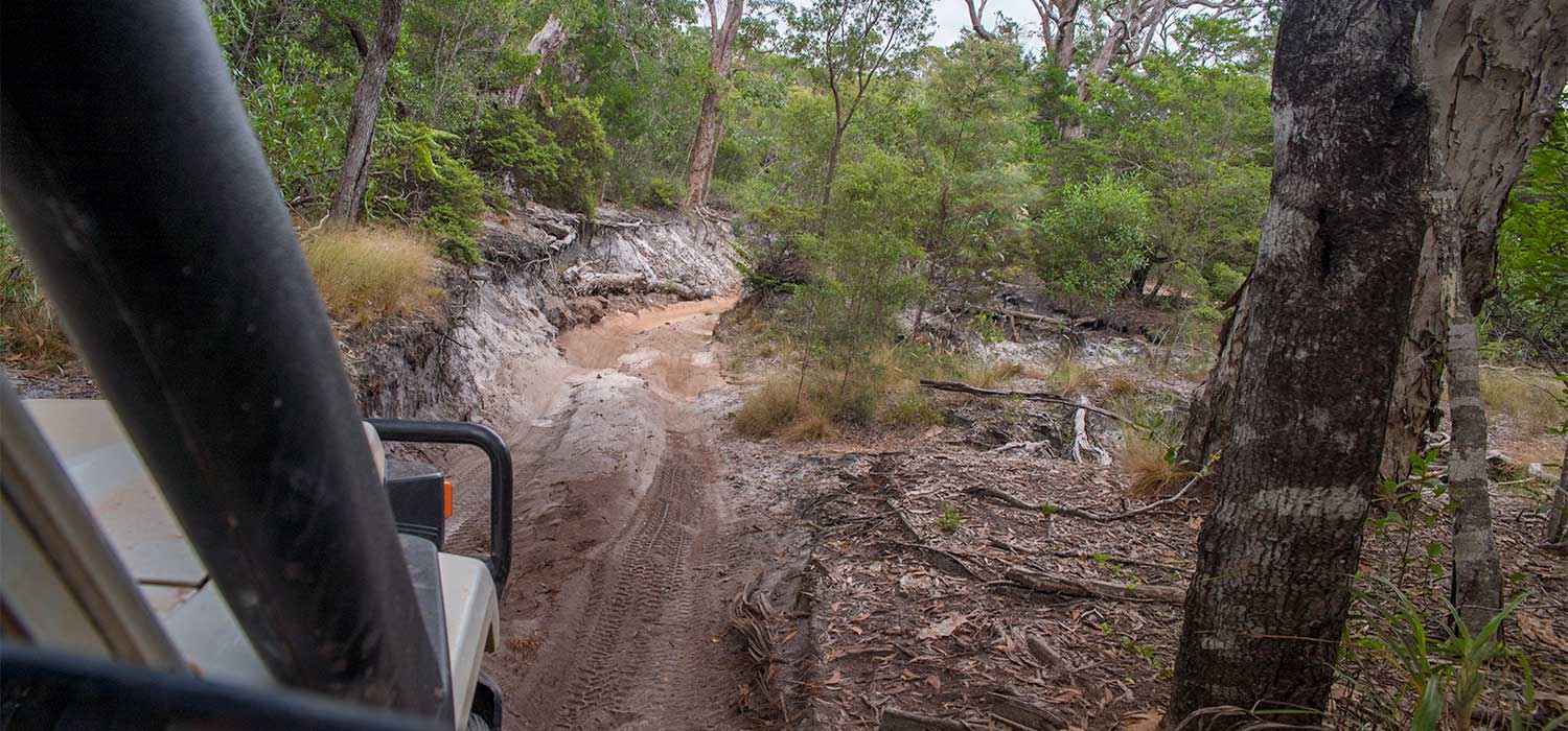 The OTT track