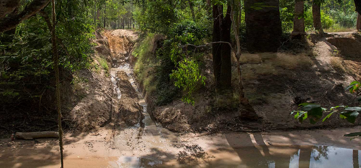 Palm Creek 