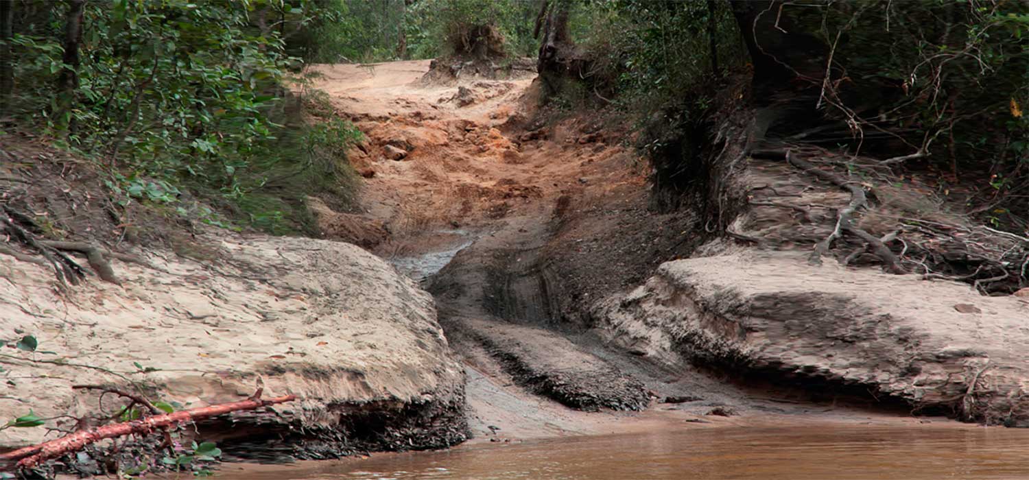 Cockatoo Creek 