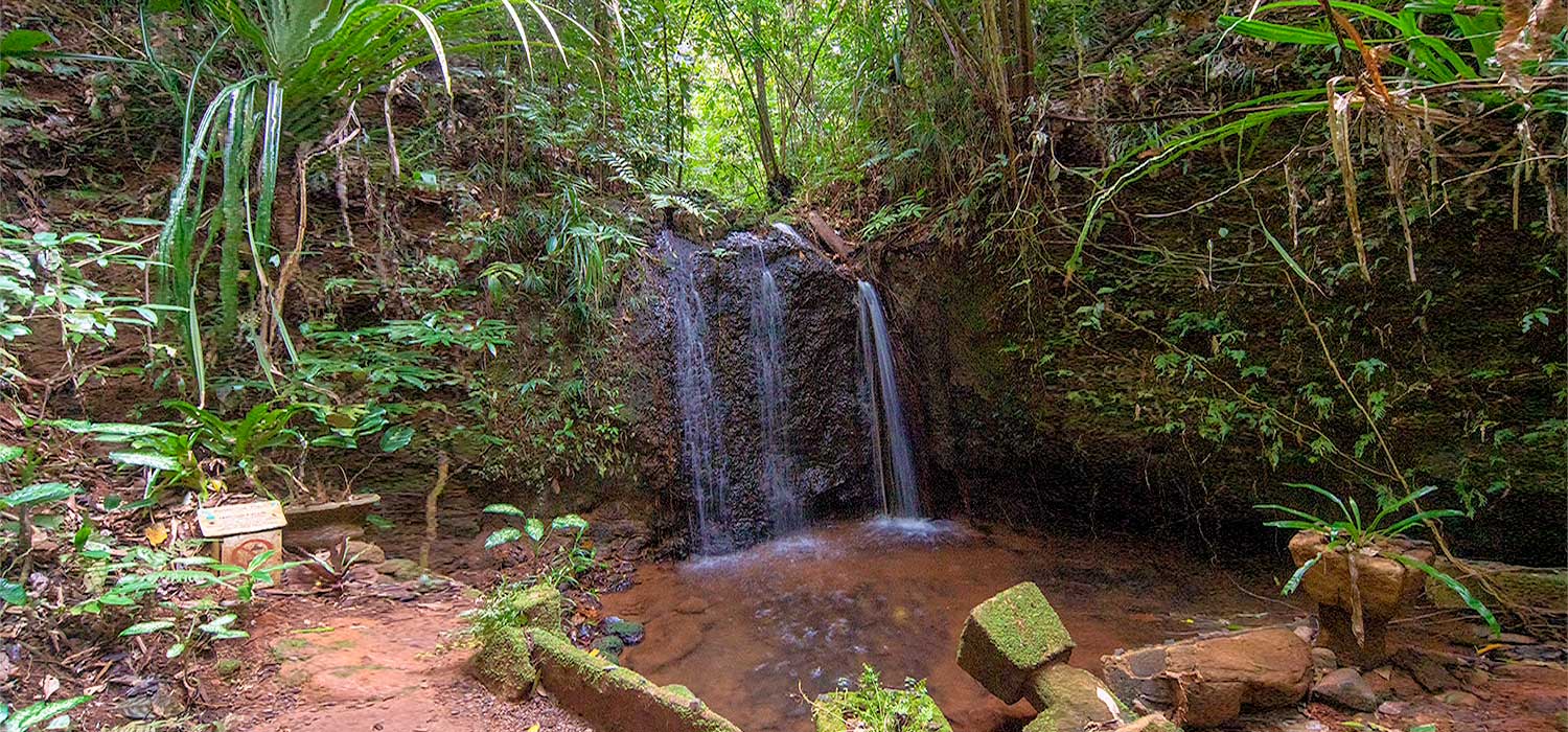 Waterfall in the rainforest 