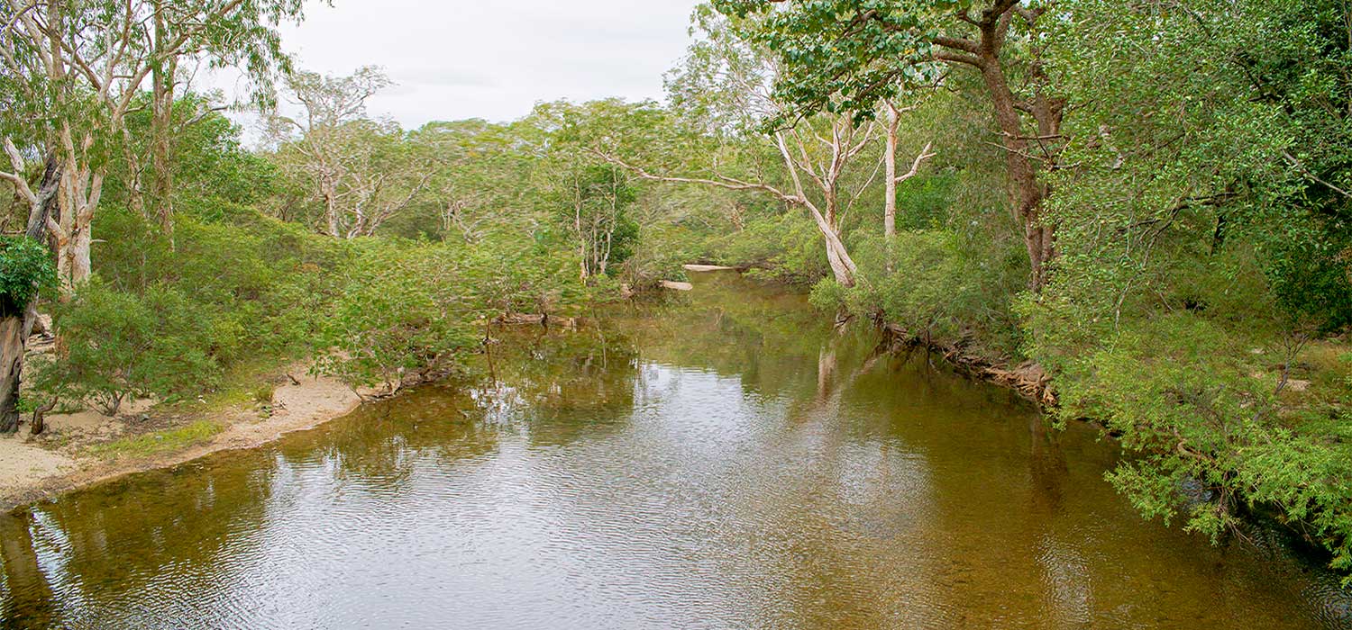 Coen river
