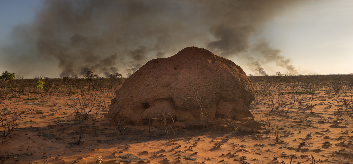 Bushfire in the Pilbara