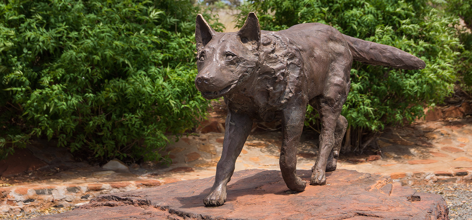 Red Dog in Dampier