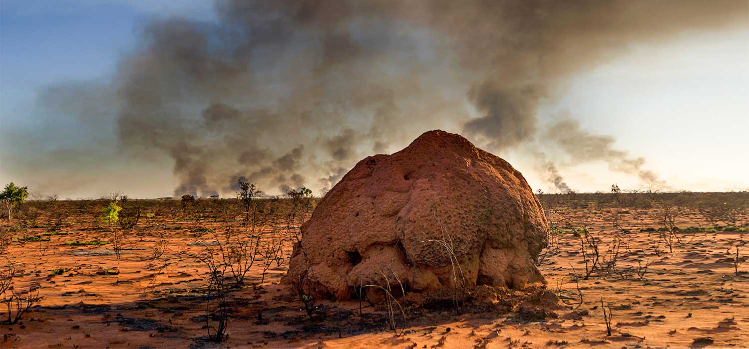 Bushfire and termite mound at Indee Station