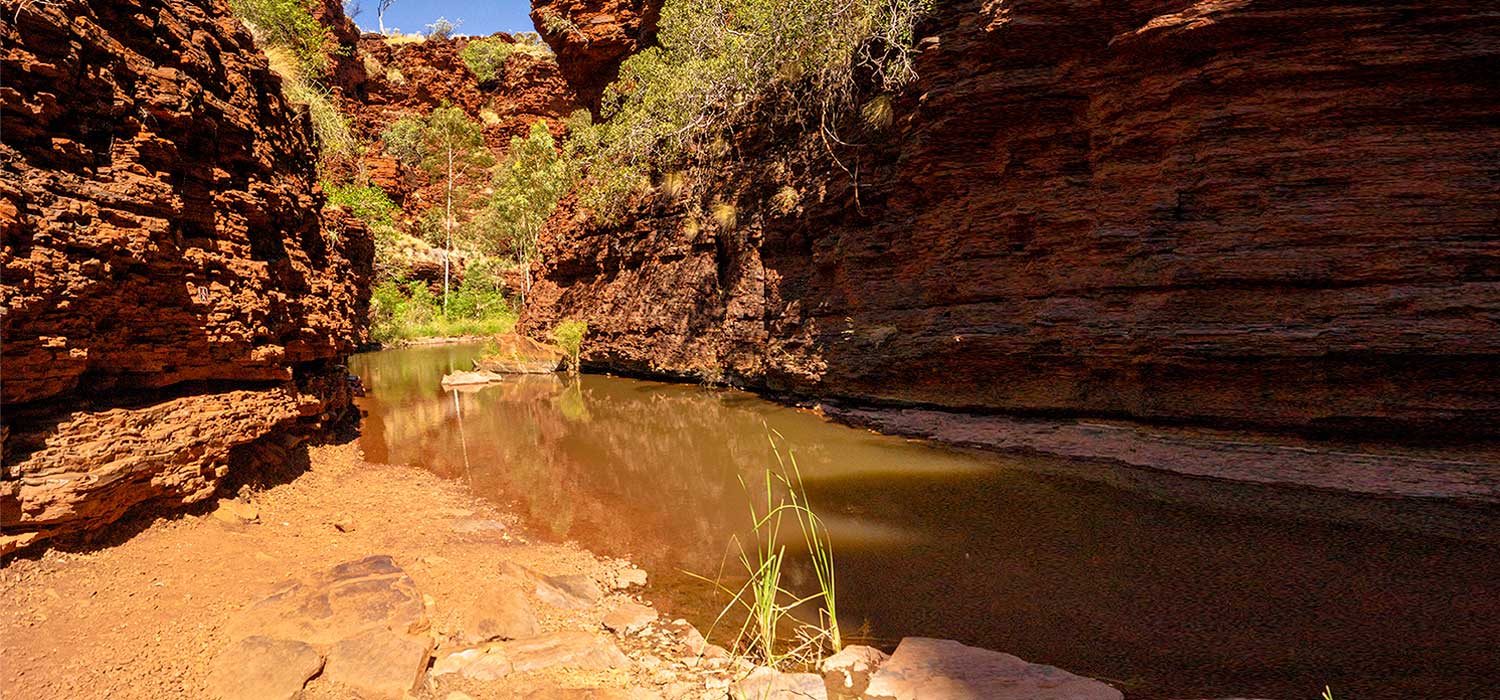 Water to walk through in Weano gorge