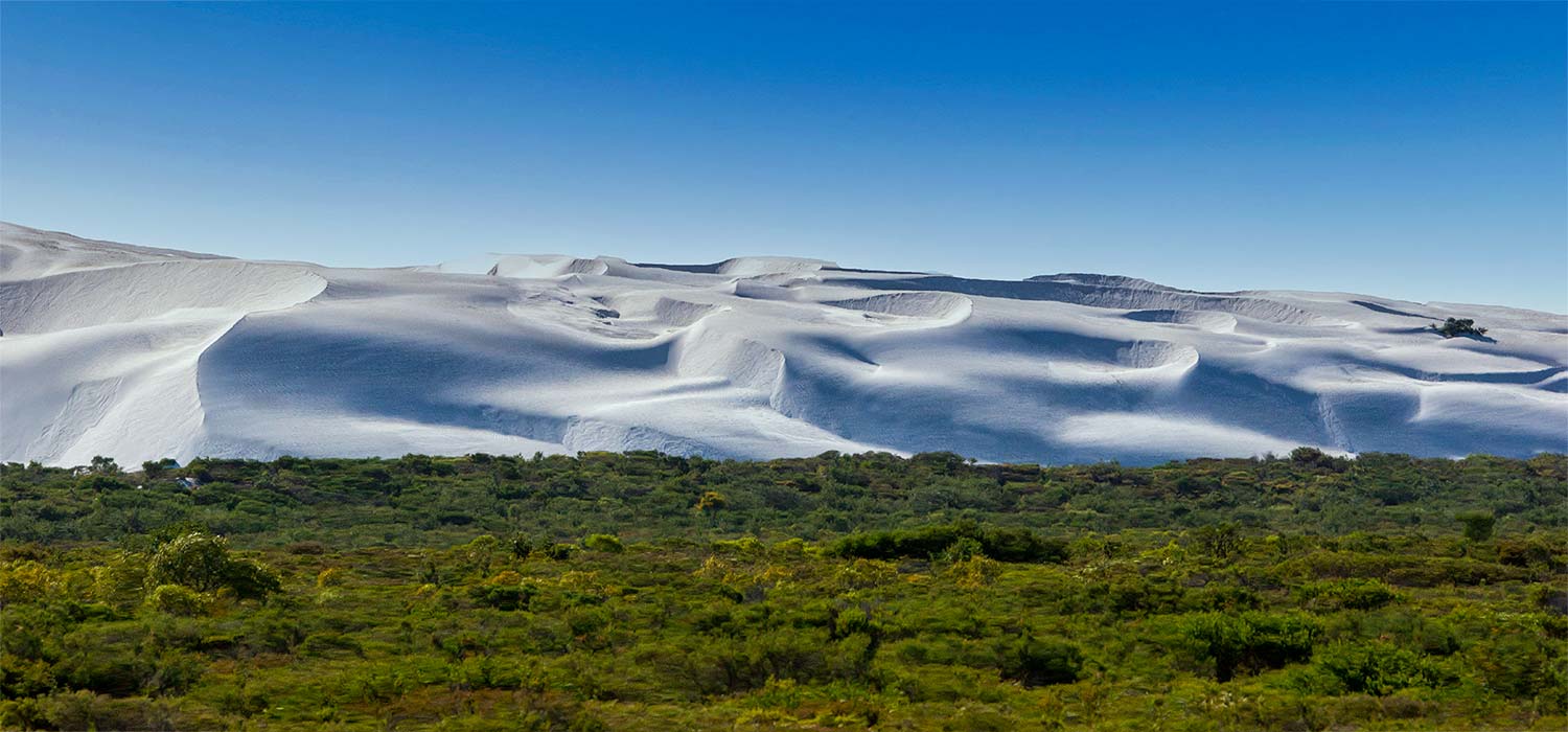  The sand dunes and scrub in the Pinnicles 