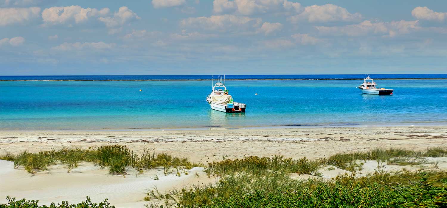 Point Gregory