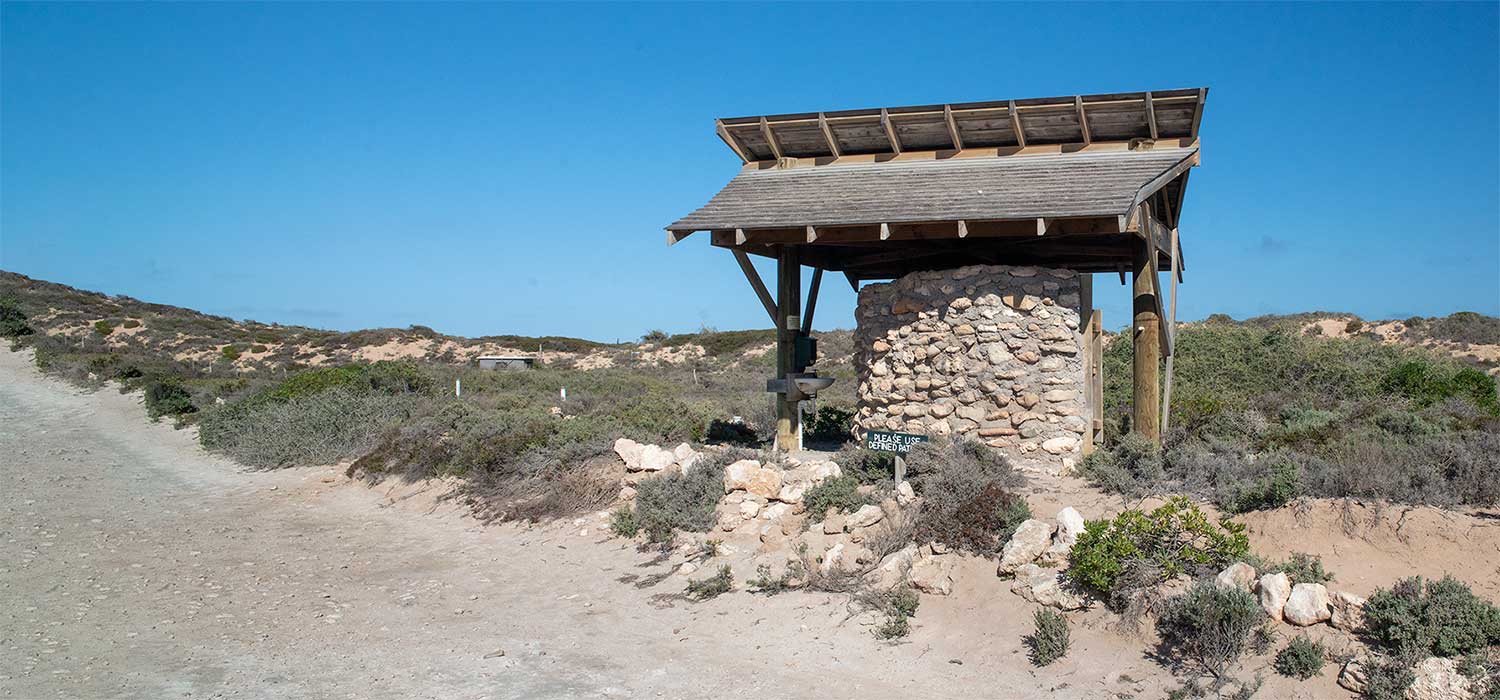 Camp ground at Cactus