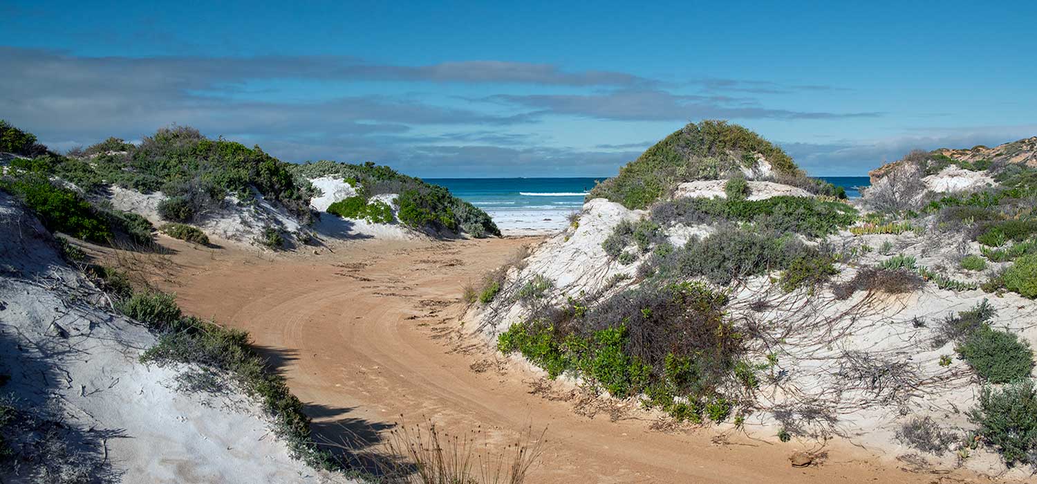 Track to Shelly Beach