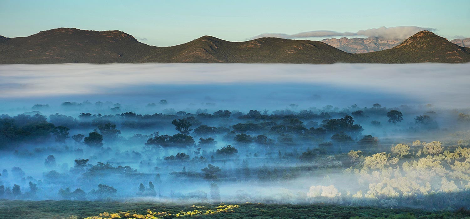 Mist in Wilpena Pound in the Flinders Ranges