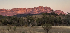 Red Rar at sunrise