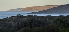 Waitpinga to Kangaroo Island