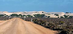 Track into Fowlers Bay