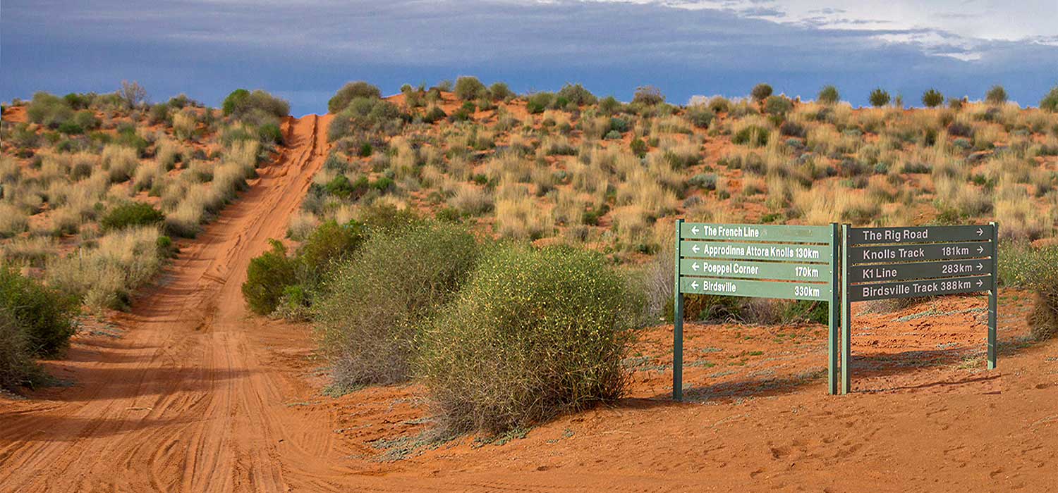 The French Line in the Simpson Desert