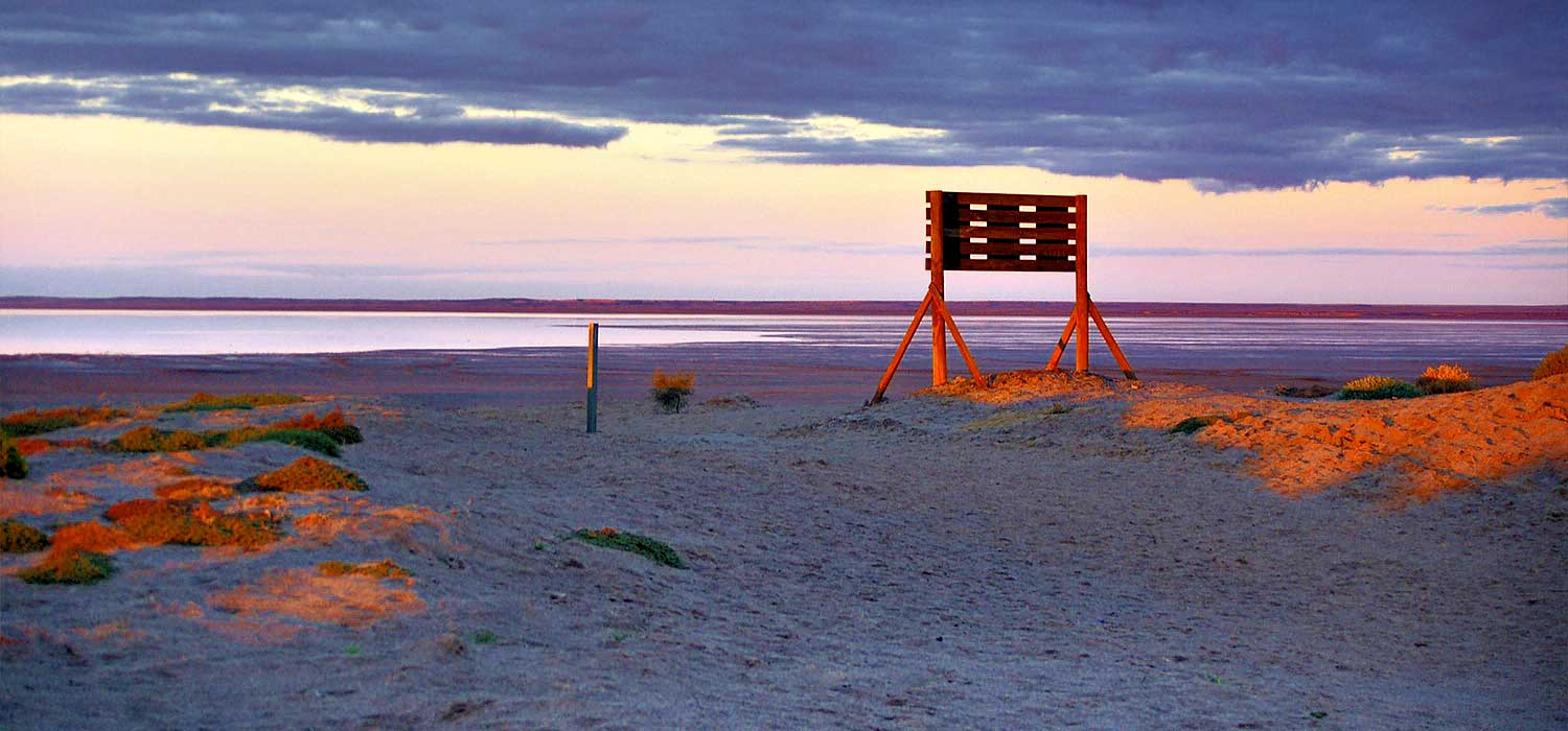 Lake Eyre at Haligan's Bay