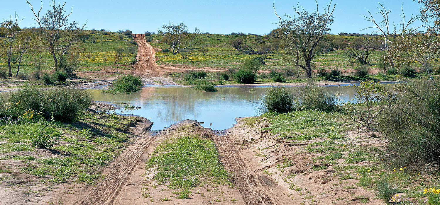 Water crossing in the Simpson Desert