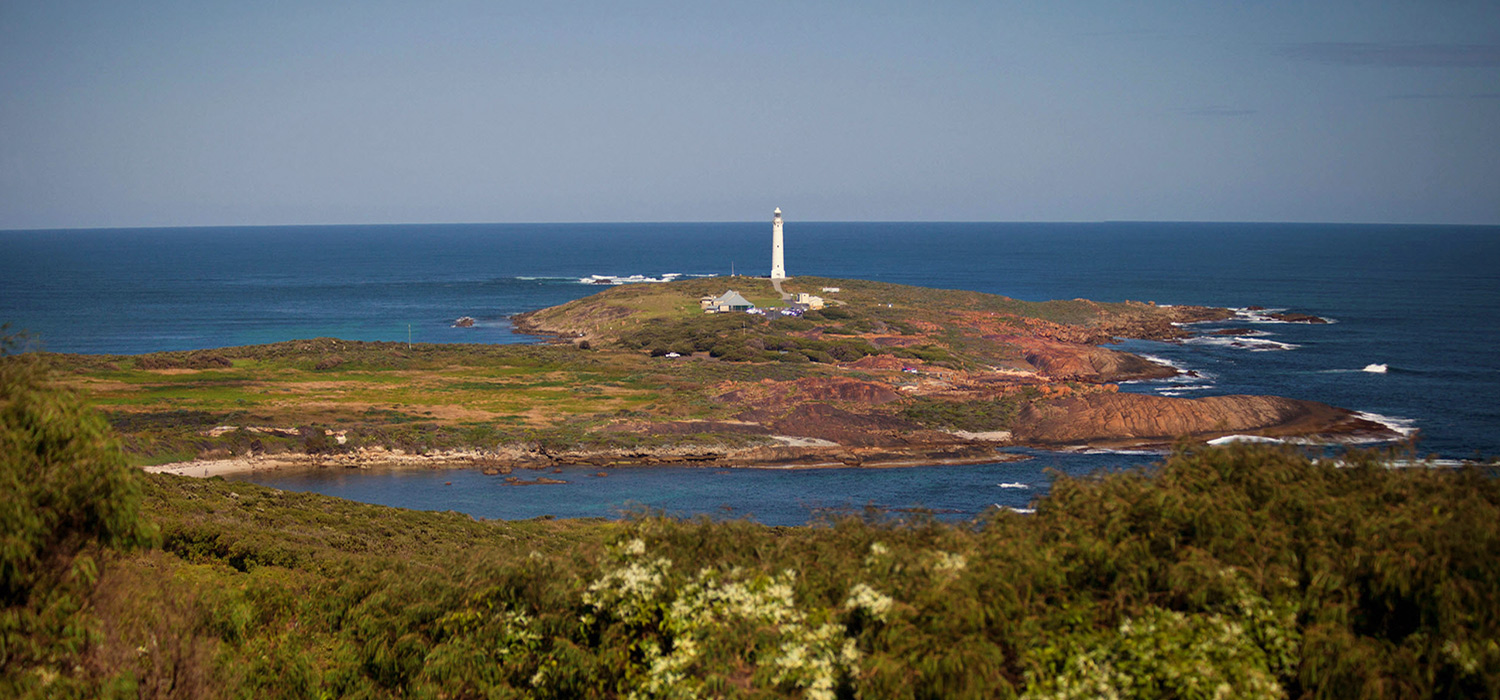 Cape Lewelyn