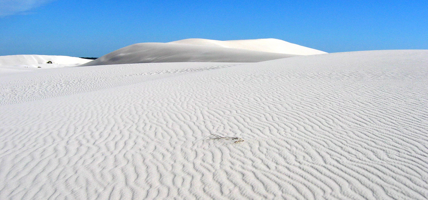 Bremer Bay dunes