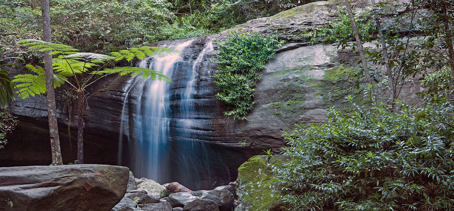 Buderim falls 
