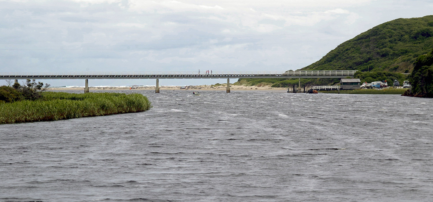 Bridge over the Arthur River