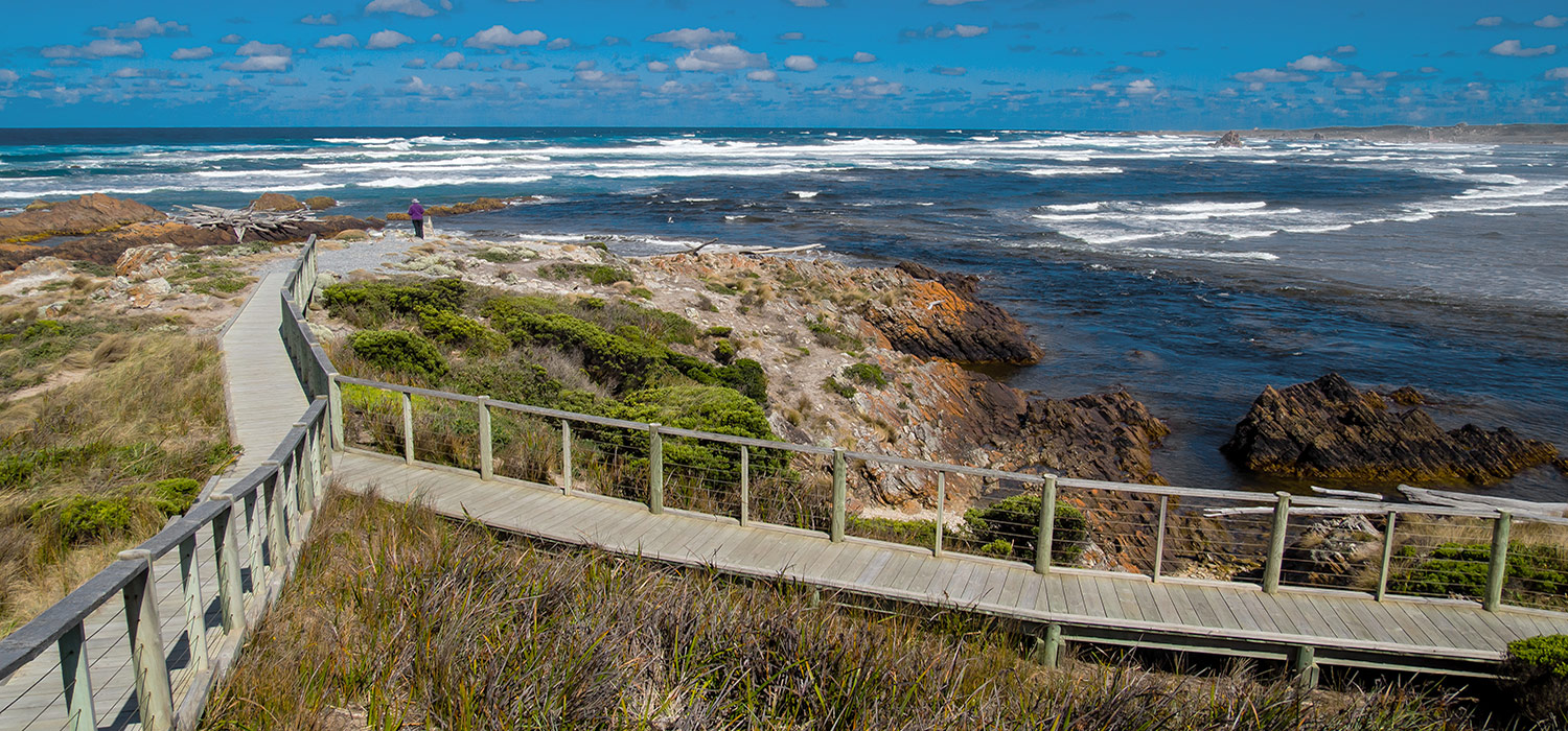 Mouth of the Arthur River
