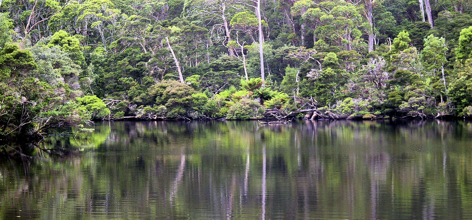 The Arthur River