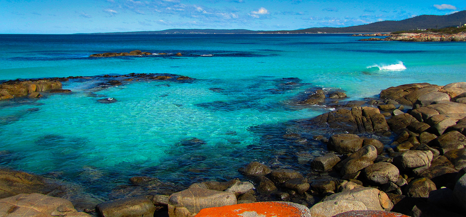 The Gardens in the Bay of Fires
