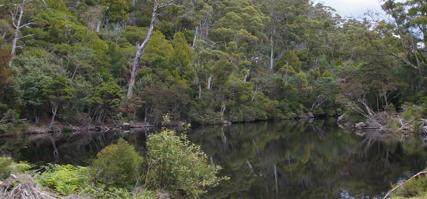 Mount William National Park
