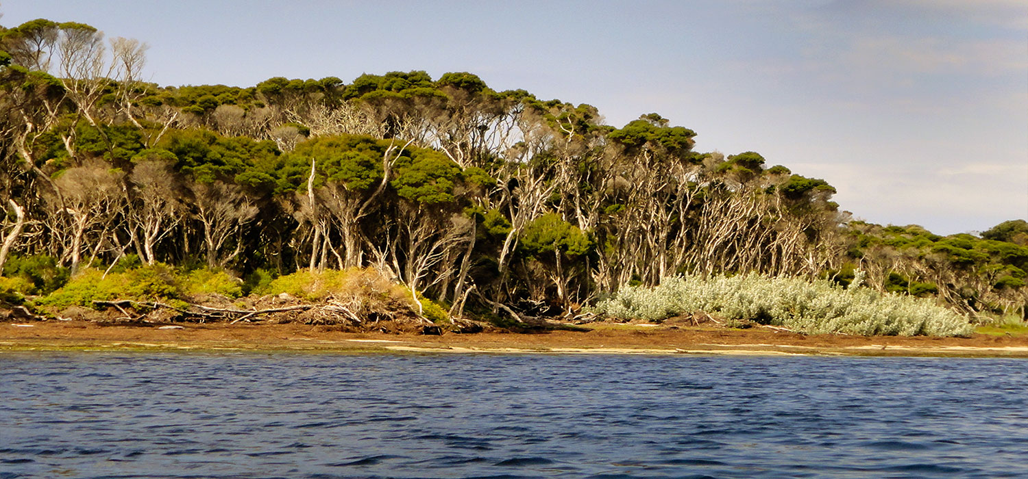 Anson Bay