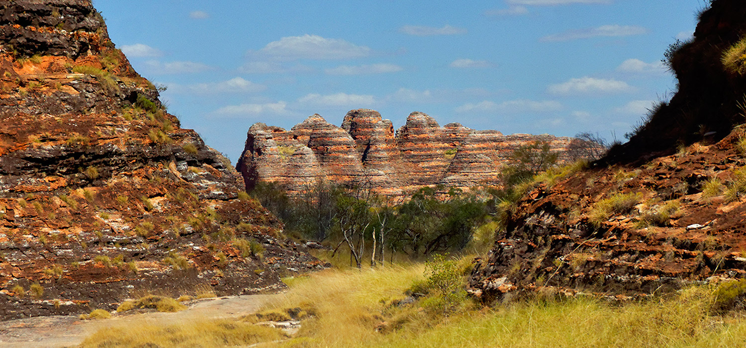 The Bungle Bungles