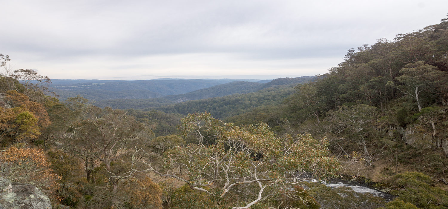 The lookout