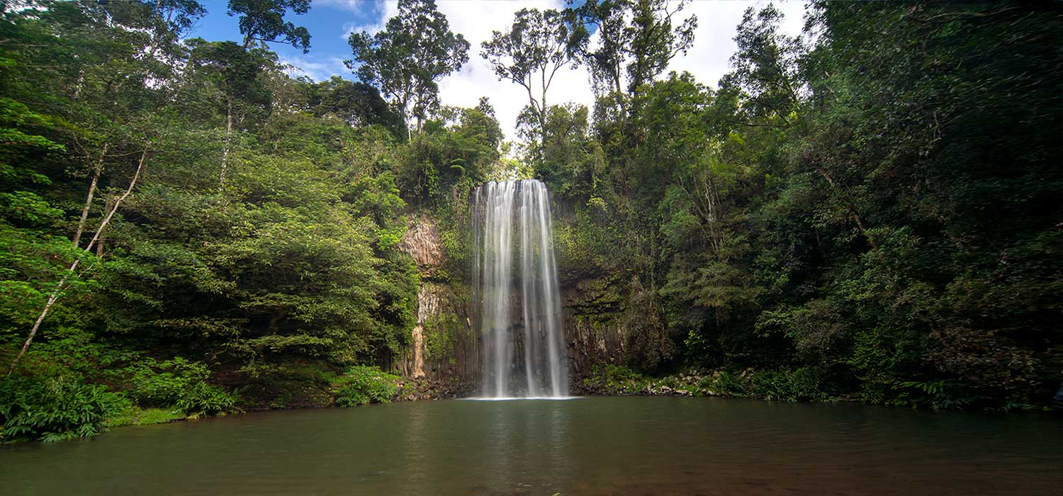  Millaa Millaa Falls in the Atherton Tablelands