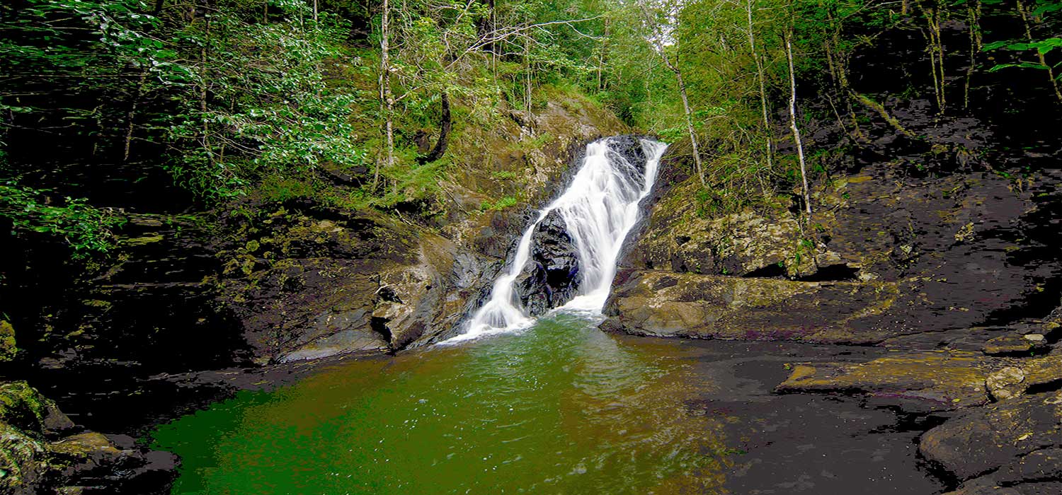 Millstream falls in the Atherton Tablelands