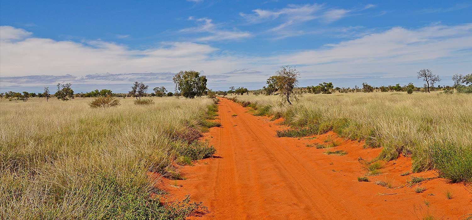Dirt track